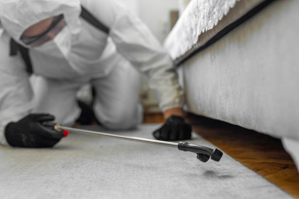 Professional Bed Bug Control technician working in Pryor Creek, OK
