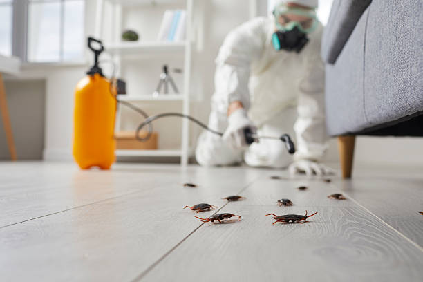 Trusted Rodent Control service in Pryor Creek, OK - Nex Pest Control