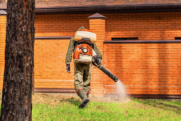 Trusted Cockroach Control service in Pryor Creek, OK - Nex Pest Control